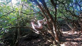 behind the scenes of my tree climbing adventures with faeriewillow