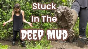 Stuck In The Deep Mud