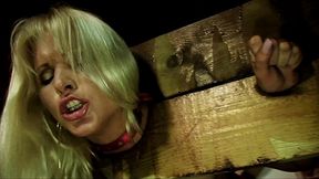 kathy anderson double penetration gangbang with anal atm