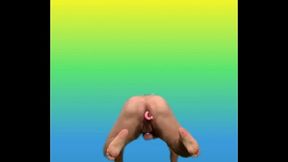 Este cerdo est&aacute_ contento