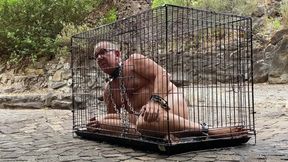 Caged - The chronicles of a life at her feet