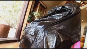 Gorgeous joyful cum bucket of chick waits wide open for enormous penis pump it