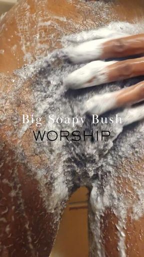 Big Soapy Bush