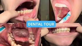 Dental Tour: Deep Close-Up Brushing