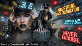 INDUSTRIAL COCK PRODUCTION. SPEED UP PRODUCE MORE NEVER ENOUGH