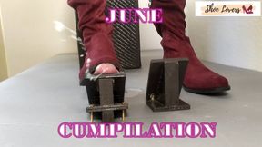 June 2024 cumpilation