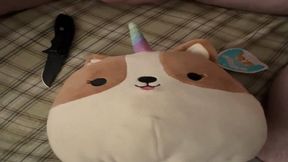 Squishmallow Gets a Happy Ending