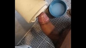PAJA DEL 1 AL 10 QUE PUNTAJE ES MI PENE