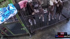 Amateur Thai teen girlfriend POV blowjob after a day out having fun