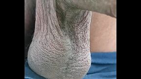 Trim 20171026 215621