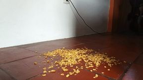 I crush, trample and destroy with flip-flops and bare feet (3)