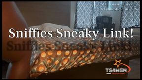 BBC TS Sniffies Sneaky Link