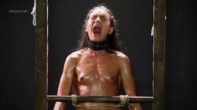 Making the shy lingerie model suck cock - part 2