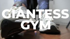 The Giantess Gym SD