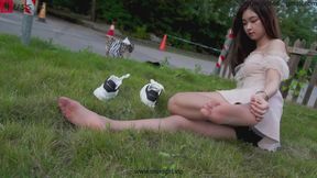 The lovely and beautiful fairy Chen Sirong sat on the lawn in the park, showing off her beautiful feet while wearing ultra-thin brown stockings.