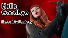 Hello, Goodbye- Executrix-Fantasy WMV
