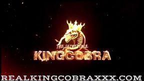My Holes Belong To King Cobra: Fiona FA Surrenders Her Ass To The King