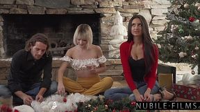 Christmas evening turned into the hottest 3some