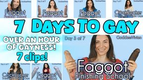 Faggot Finishing School Bundle 7 clips over an hour Compilation of Cocksucker Training School Days 1 through 7 with Goddess Vivien Make Me Bi Gay The complete set! it's time to go Gay for Goddess Vivien!
