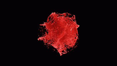 Beta Mindfuck- No Pussy, Just Worship