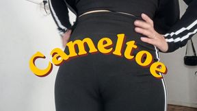 Cameltoe in leggings
