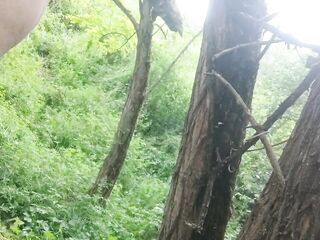 suspendu a un arbre avec cadenas minuteur 15 min