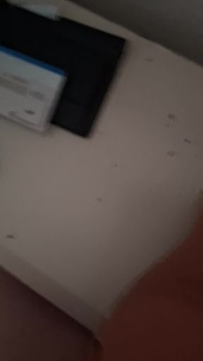 fuck the little pussy