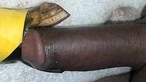 Beauty Cock