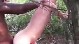 Big Black Cock Breeds White Hole Outdoors