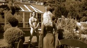 The Perverted Fantasies of a Horny Wife