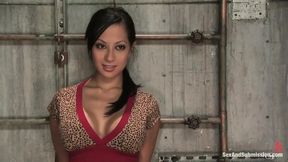Gianna Lynn - Sex and Submission by Kink