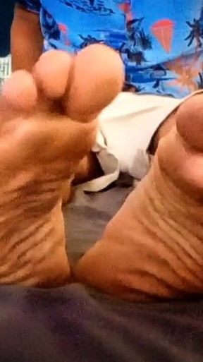 My Paws
