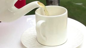 Outdoor Lesbian Fuck for Two Lesbians Licking Pussy in the Garden