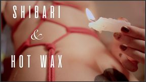 Shibari & Hot Wax