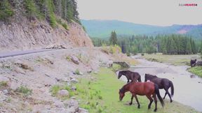 Fucking in the forest in the green nature makes my cunt wet