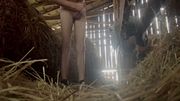 Young farm boy jacks off in a hay barn