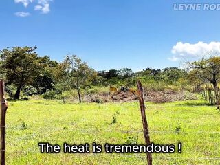 Hawt mother I'd like to fuck Despairing for Cash Gets Boned by Farmer - POV