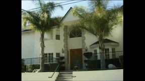 I Wanted a Blonde Cock