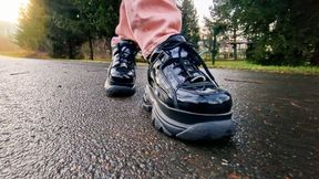 Lackliebe in der Morgensonne – Schwarze Buffalos in Szene gesetzt