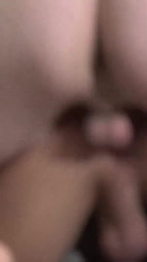 Barebackthathole tray sweet and alex montenegro bareback