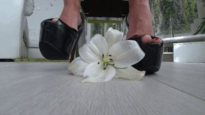 Crushed a white flower with platform shoes c