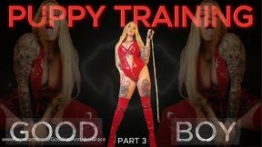 PUPPY TRAINING - GOOD BOY  PART 3 ( 33mins)