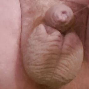 Small Dick Leaking Precum and Fingering My Own Ass