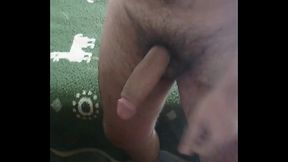 Mostrando a rola