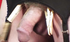 Clothes Pins on balls