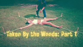 Taken by the Woods: Part 1