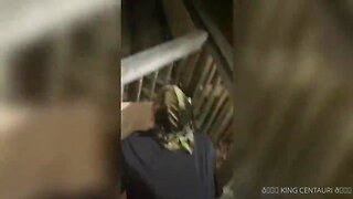 Her penis feels richer on the balcony i met him on