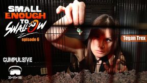Small Enough to Swallow Episode 6