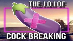 The JOI Of CockBreaking