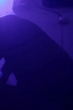 Night Stand with My Old Girlfriend Vergin Neha Sex Porn Videos